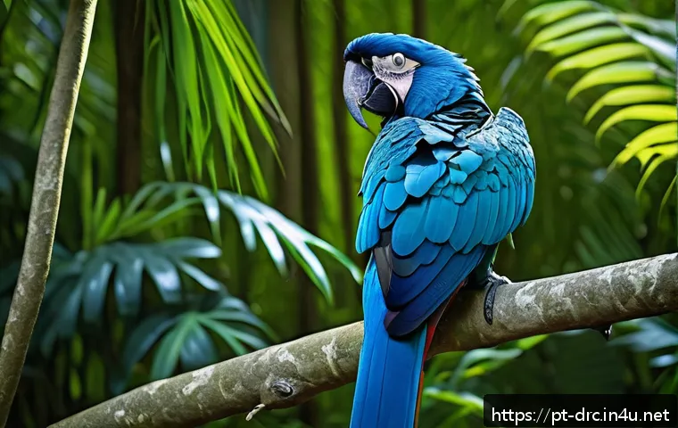 마이코 국립공원의 동물 생태 탐구 - A vibrant scene in the canopy of a tropical rainforest at Parque Nacional de Myko, featuring a majes...